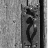 Snake Door Handle-crop - ID: 1406557 © Patricia  H Daley