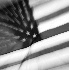 Grand Old Flag Zoom,  - ID: 2322033 © Patricia  H Daley