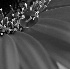 Dewdrop on Gerbera Daisy - ID: 4312002 © Patricia  H Daley