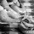Fresh Shrimp - ID: 6304760 © Patricia  H Daley