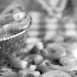 Fresh Shrimp-Blur Shot - ID: 6304761 © Patricia  H Daley