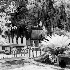 Laurel Grove Cemetery Scene - ID: 10595524 © Patricia  H Daley