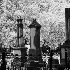 Magnolia Cemetery-Duotone - ID: 10672769 © Patricia  H Daley