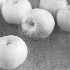 Apples - ID: 11302839 © Patricia  H Daley