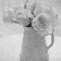 Roses - ID: 11379477 © Patricia  H Daley
